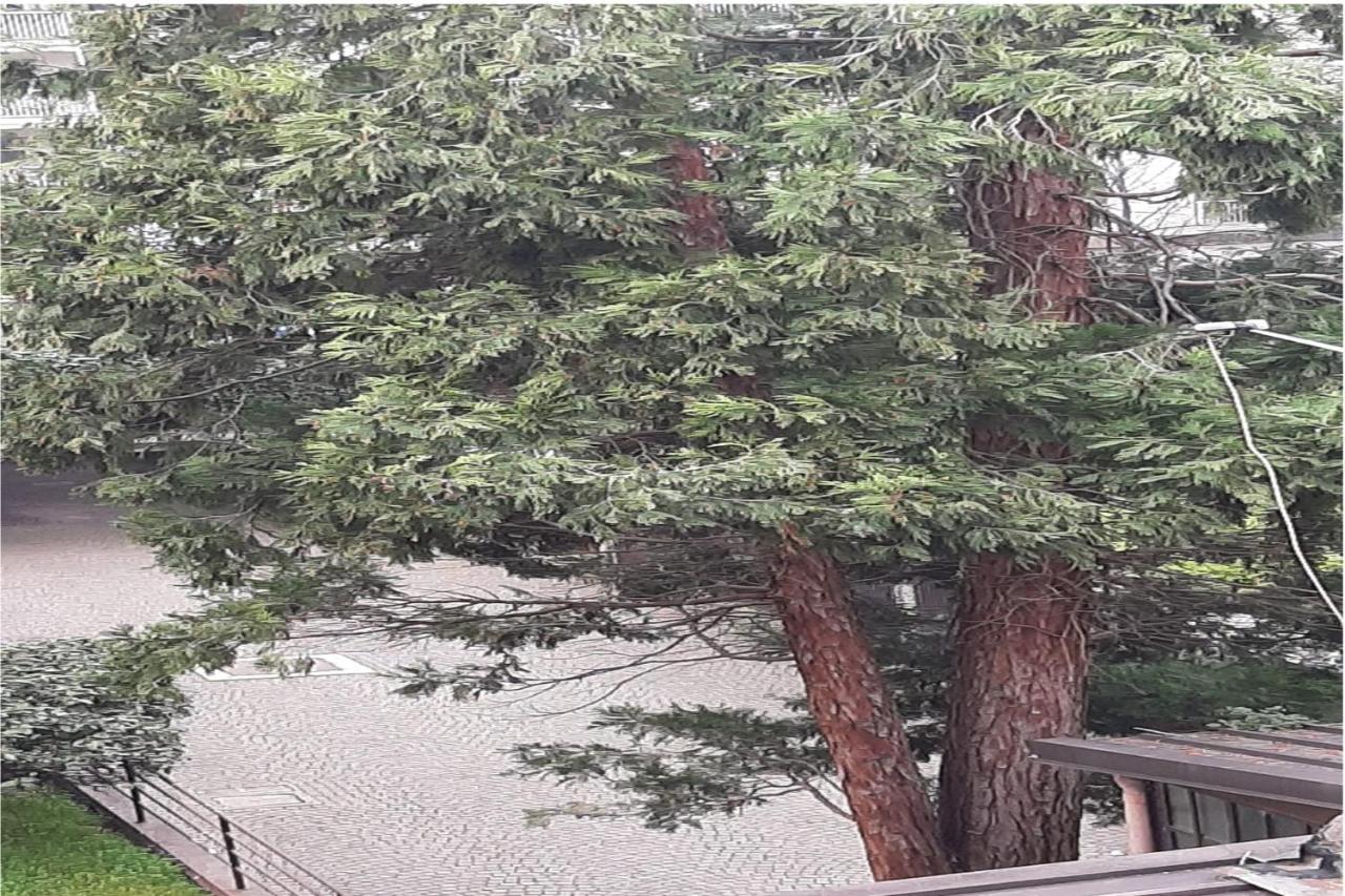 Il Rifugio Sui Navigli Con Garage Privato Gratuito Aria Condizionata & Wi-Fi Milão Exterior foto